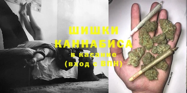гидра Арсеньев