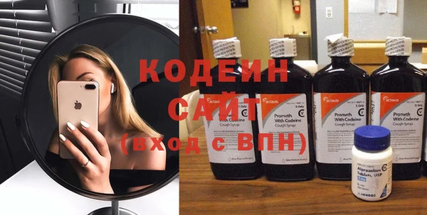 гидра Арсеньев