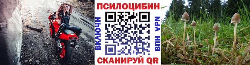 shop официальный сайт  Покров  Псилоцибиновые грибы мухоморы 
